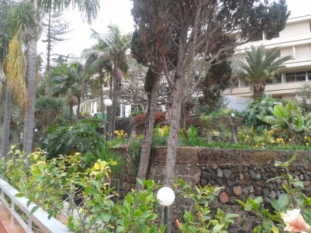 Tranquilo Apartamento Puerto De La Cruz Dış mekan fotoğraf